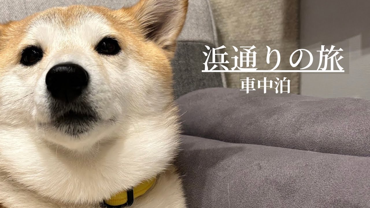 柴犬しずえとキャンピングカーで車中泊｜福島県 RVパークならは【LIBERTY50DB】