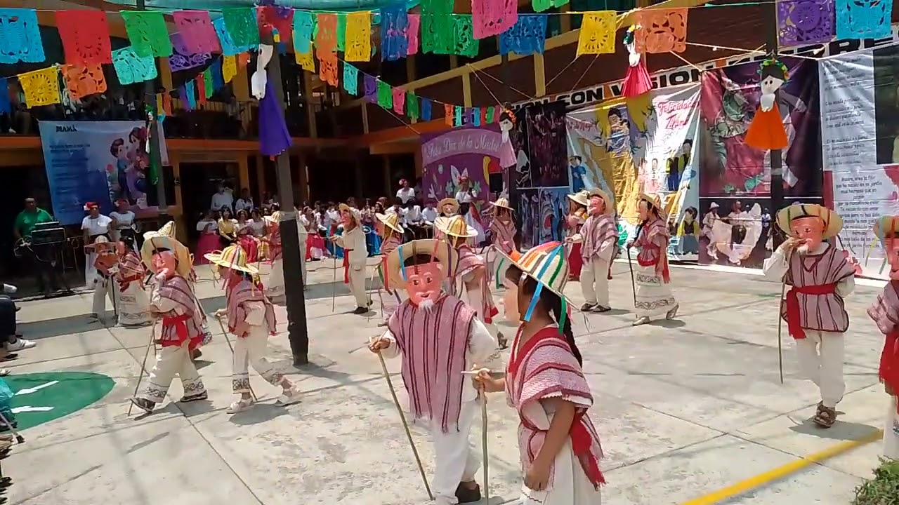 Festival 5