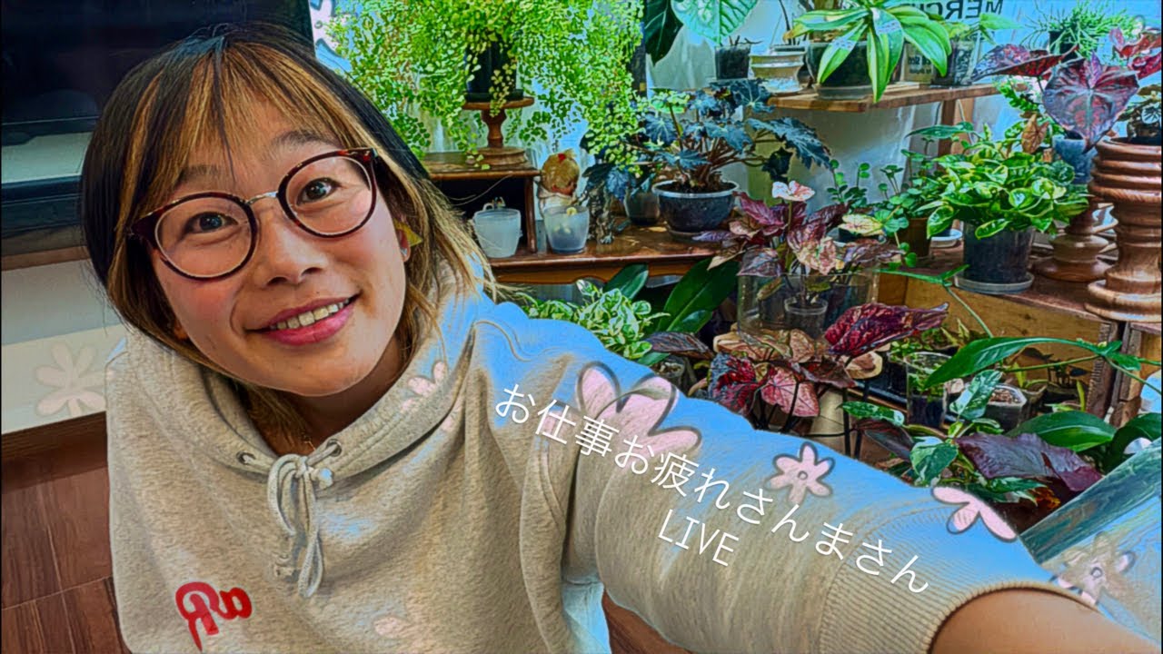 花森さん1月26日お仕事お疲れさんまさん🐟