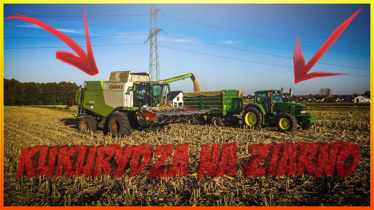 🌽Kukurydza Na Ziarno 2022!🌽 w RSP Bujaków | Śląsk | Claas Lexion 650 | JD 6930P | Axion 850, 830 |