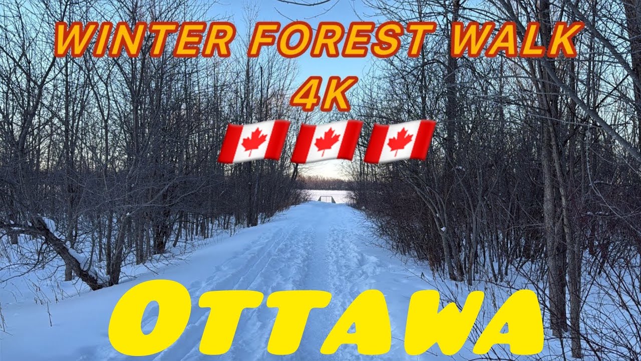 [4K] 🇨🇦Winter Sunset Walk in a Snowy Forest-20 |Frozen River Nature Walk | Nature sounds for sleep