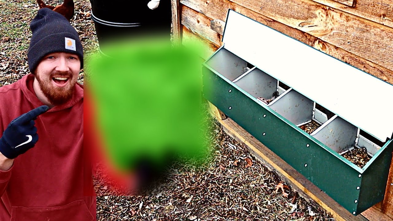 Keep You Nest Boxes Clean ALWAYS With This!