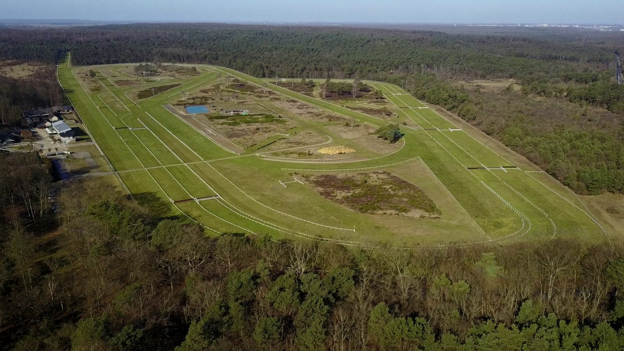 Hippodrome de la Solle à Fontainebleau, février 2017.