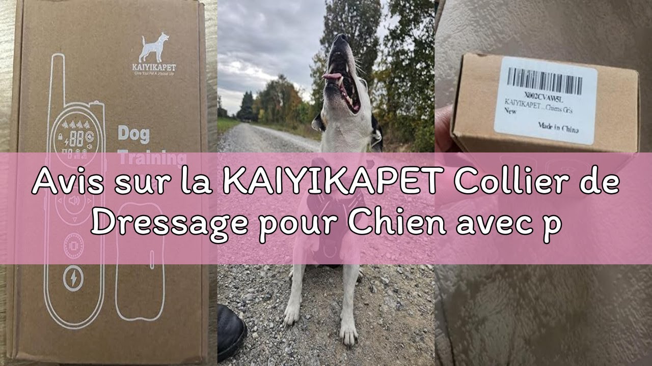 Avis sur la KAIYIKAPET Collier de Dressage pour Chien avec portée de 1200m, 185 Jours de Veille, Rec