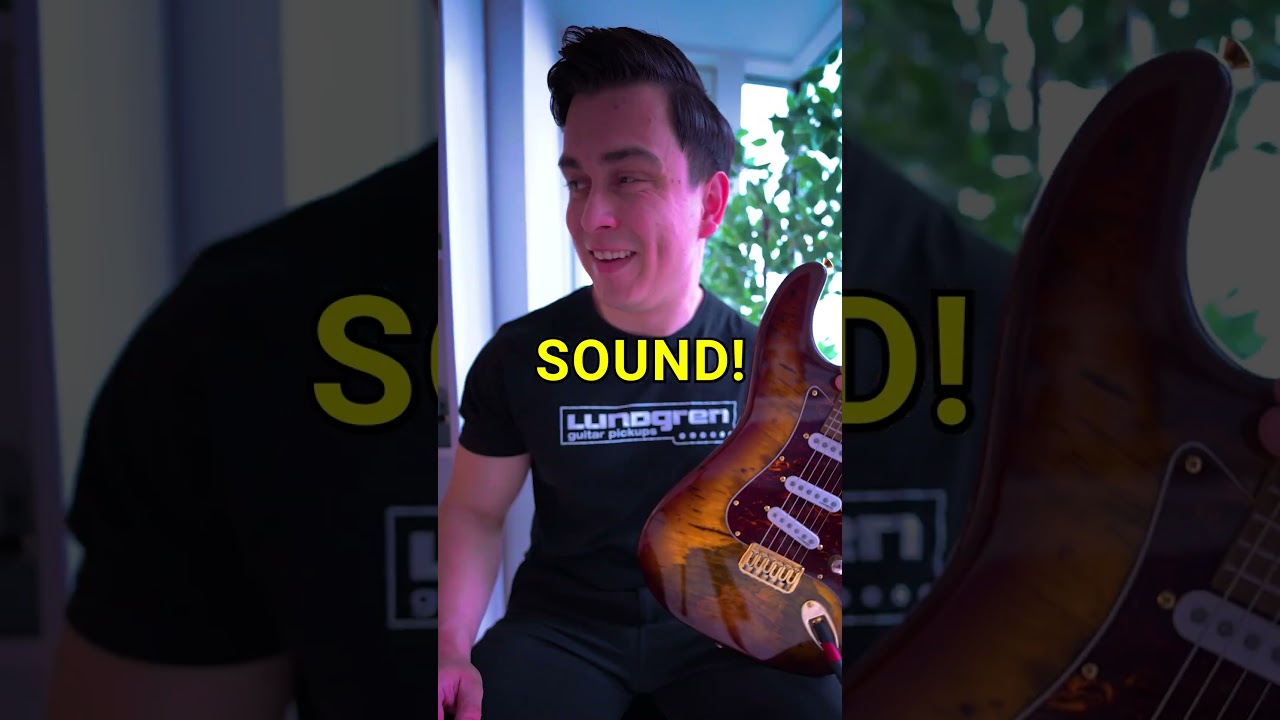 Lundgren Demo 2025 Eric Assarsson