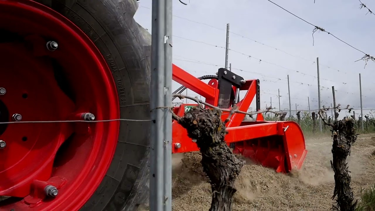 ARIEGGIATORE DECOMPATTATORE CON RULLO, AERATOR AND SOIL DECOMPACTOR WITH ROLLER