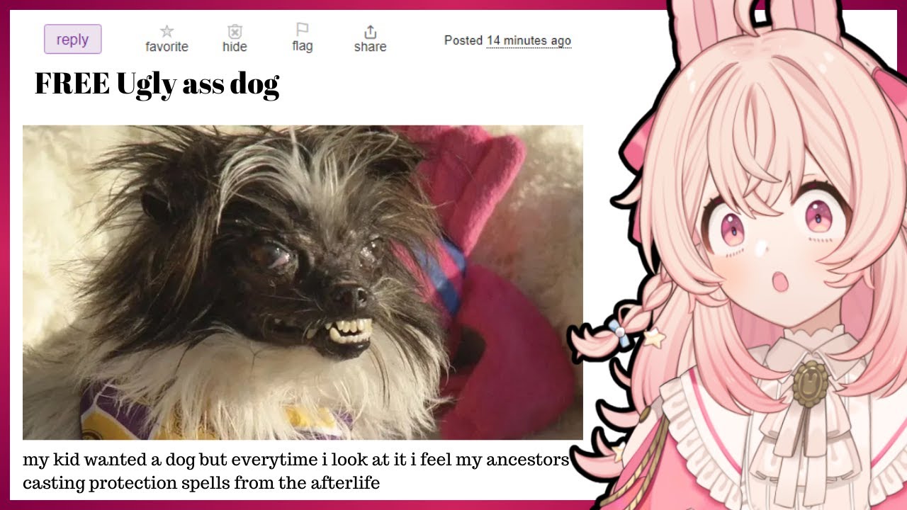 looking at pet for sale ads on craigslist