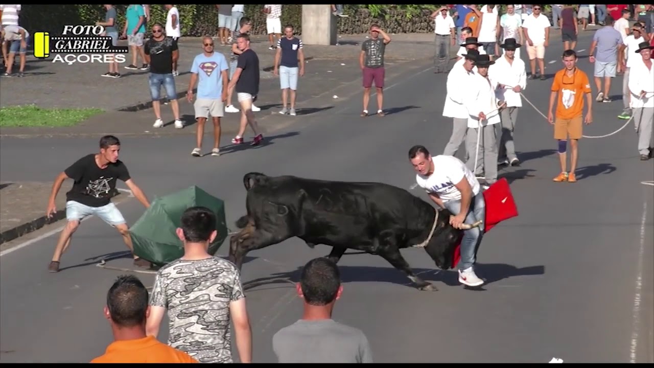 VAMOS RIR COM  Novas Marradas Toiros e Touradas