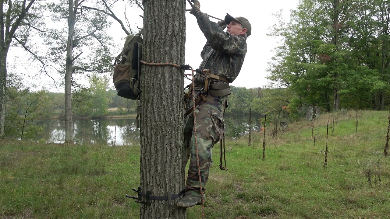 37. Walking and climbing in a 2 panel saddle