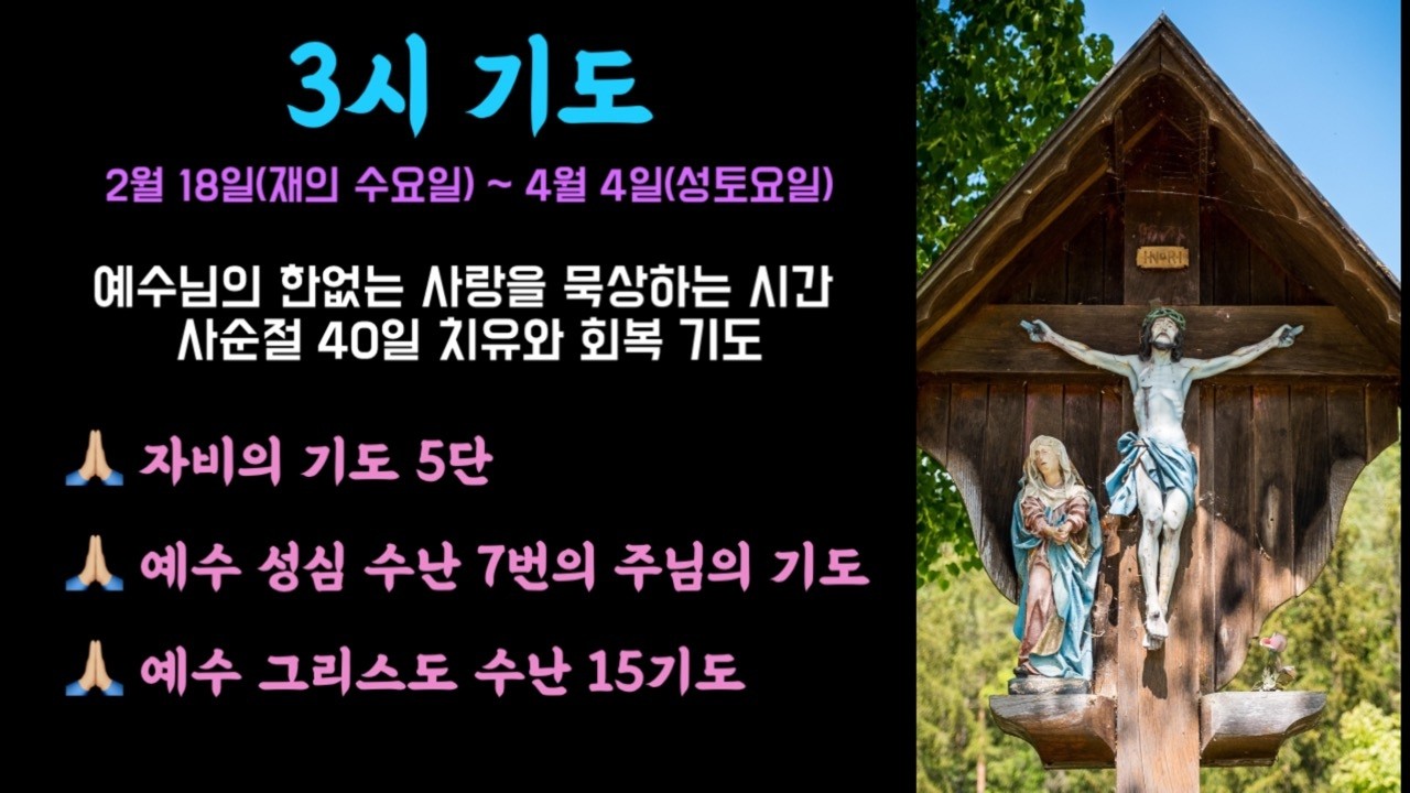 🌿 3시 사순절 40일 치유와 회복기도  #세레나의치유의숲 #자비의기도 #7번의주님의기도 #15기도#자비의5단기도  #비르지타의기도 #예수수난묵상기도 #사순절특별기도