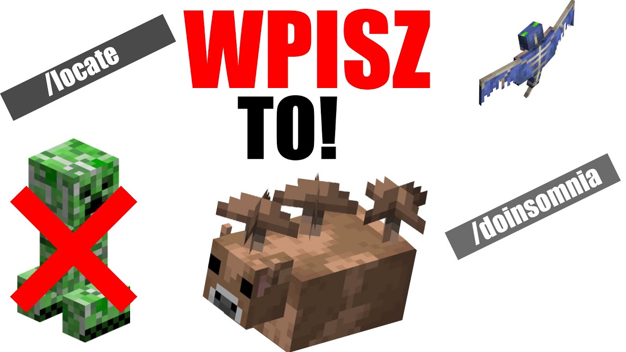 10 KOMEND KTÓRE CHCESZ WPISAĆ W MINECRAFT