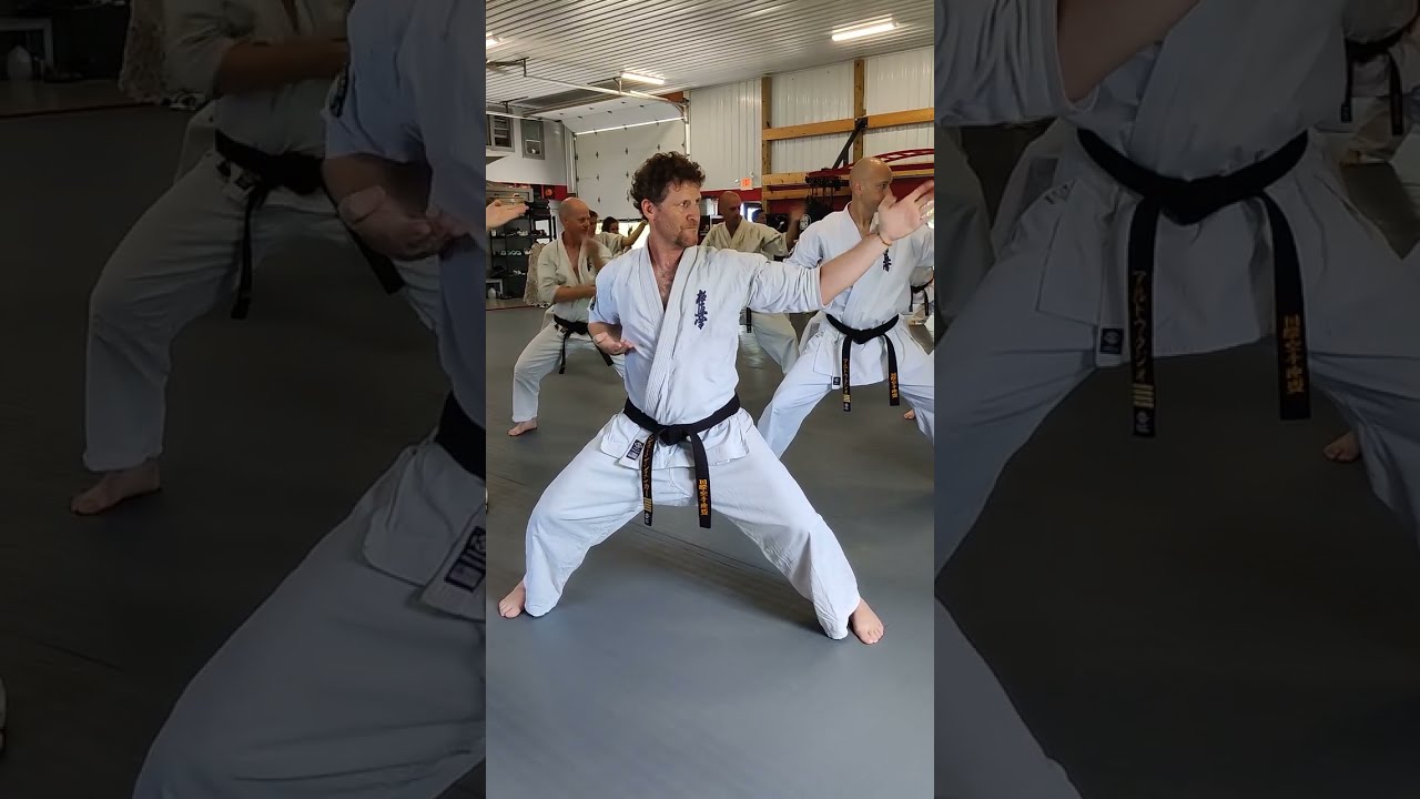 Seienchen Kata  IFK Kyokushin                       Karate Training-Setting the Example