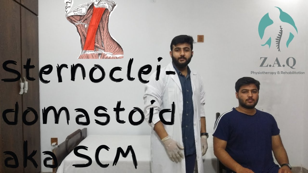 Sternocleidomastoid Stretch (SCM) | Origin Insertion | Complications | Neck Pain - Z.A.Q