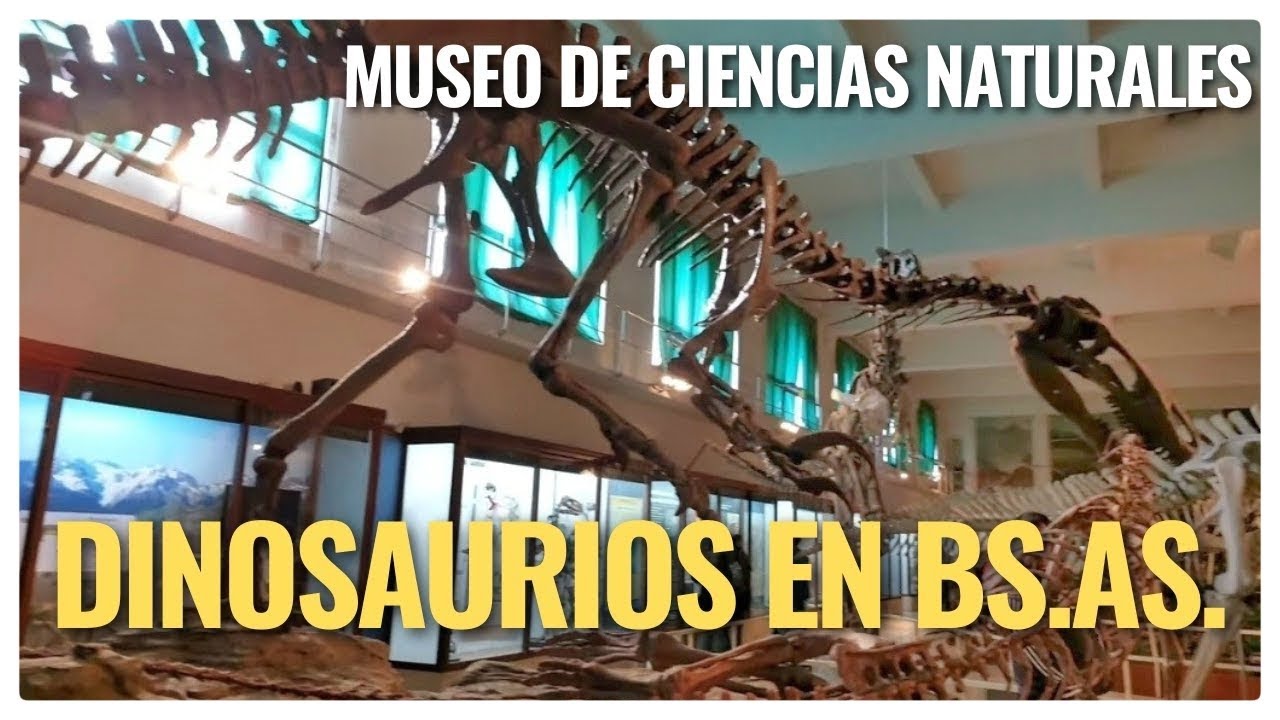 Un Tiranosaurio Rex en el museo m&aacute;s antiguo de Argentina