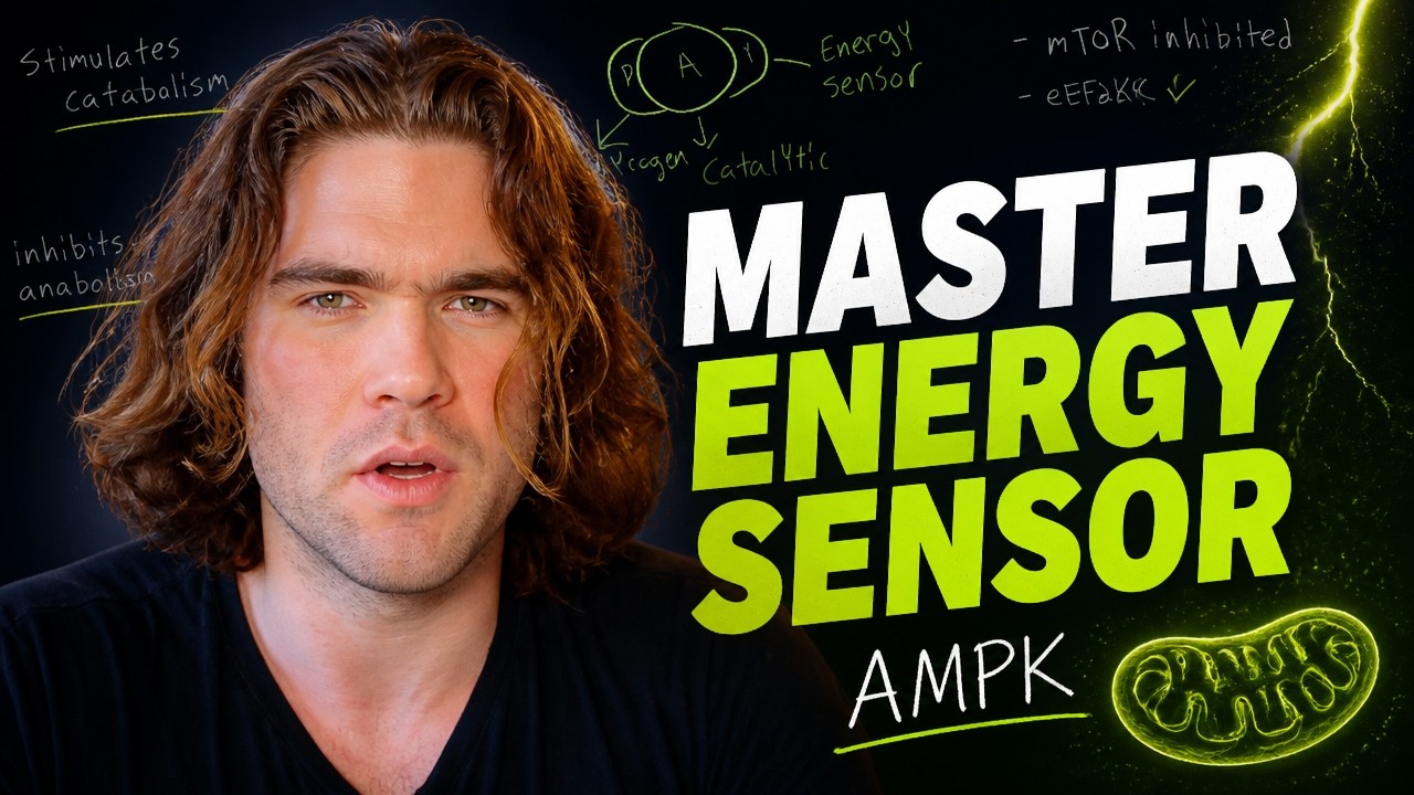 The Cellular Secret to Burning Fat: Understanding AMPK