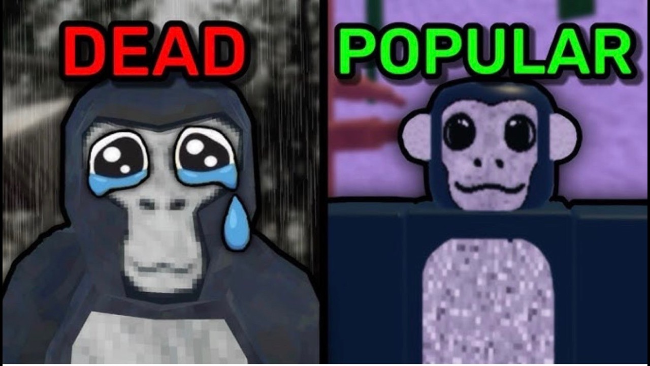 Baboon Tag Part 5 Enjoy :)