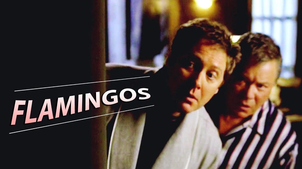 Flamingos | Alan & Denny | Boston Legal