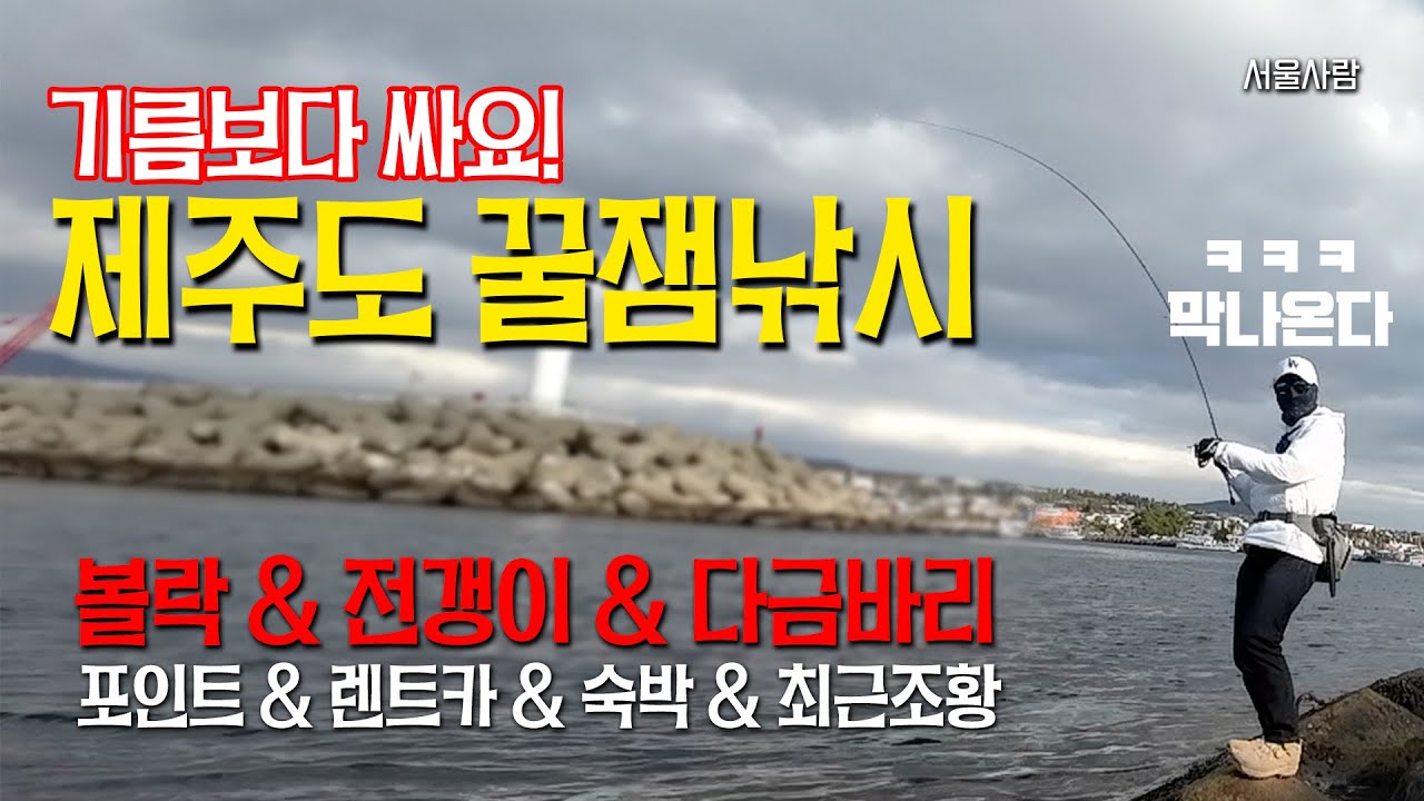 [제주도1] 라이트게임 포인트  - 정말 너무너무 재미있게 낚시 했어요 -  볼락 전갱이 다금바리