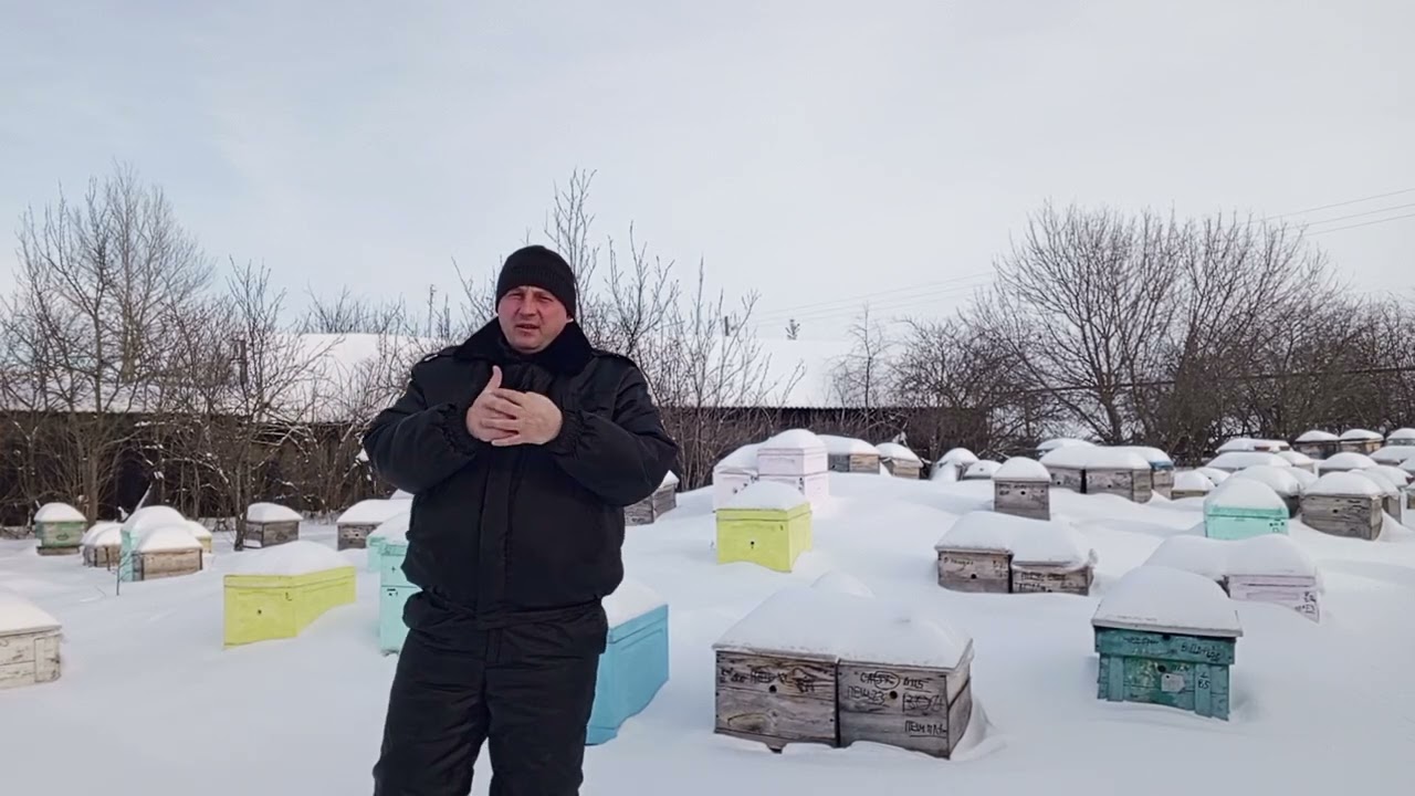 2 февраля, зимуем