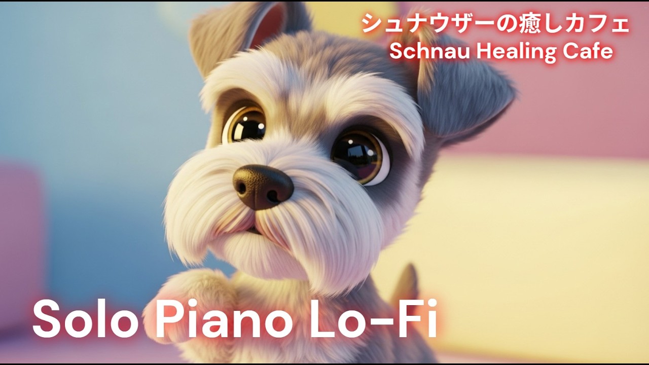作業用BGM。ソロピアノ。ローファイ。ミニチュアシュナウザー。BGM for work. Solo piano. Lo-fi. Miniature Schnauzer.
