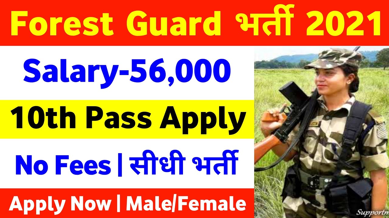 Forest Guard New Recruitment 2021 | Forest Guard New Bharti 2021 | Forest Guard New Vacancy 2021