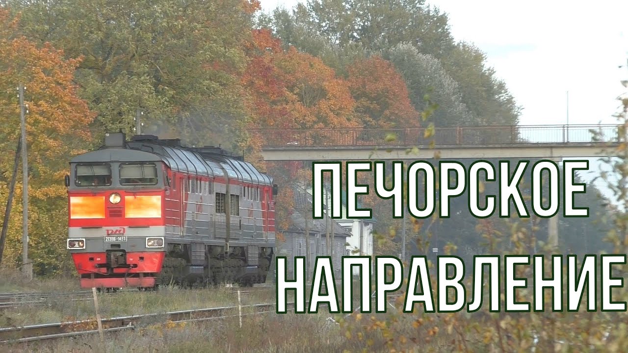 Ливамяэ &ndash; Новоизборск. Золотая осень в Печорском районе. Железная дорога и поезда, пейзажи леса
