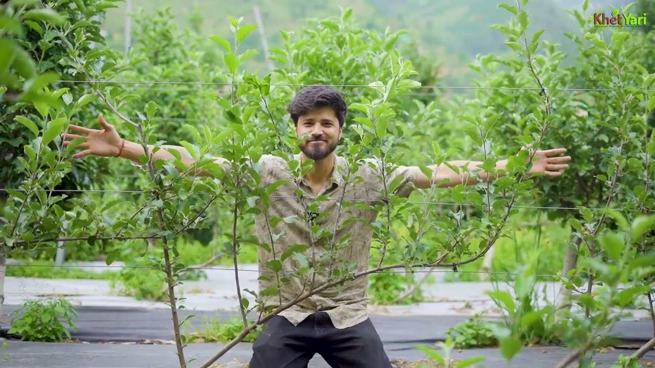 Sos system 2024 orchard