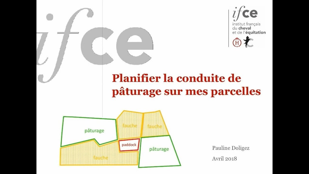Conduite au pâturage des chevaux - P. Doligez