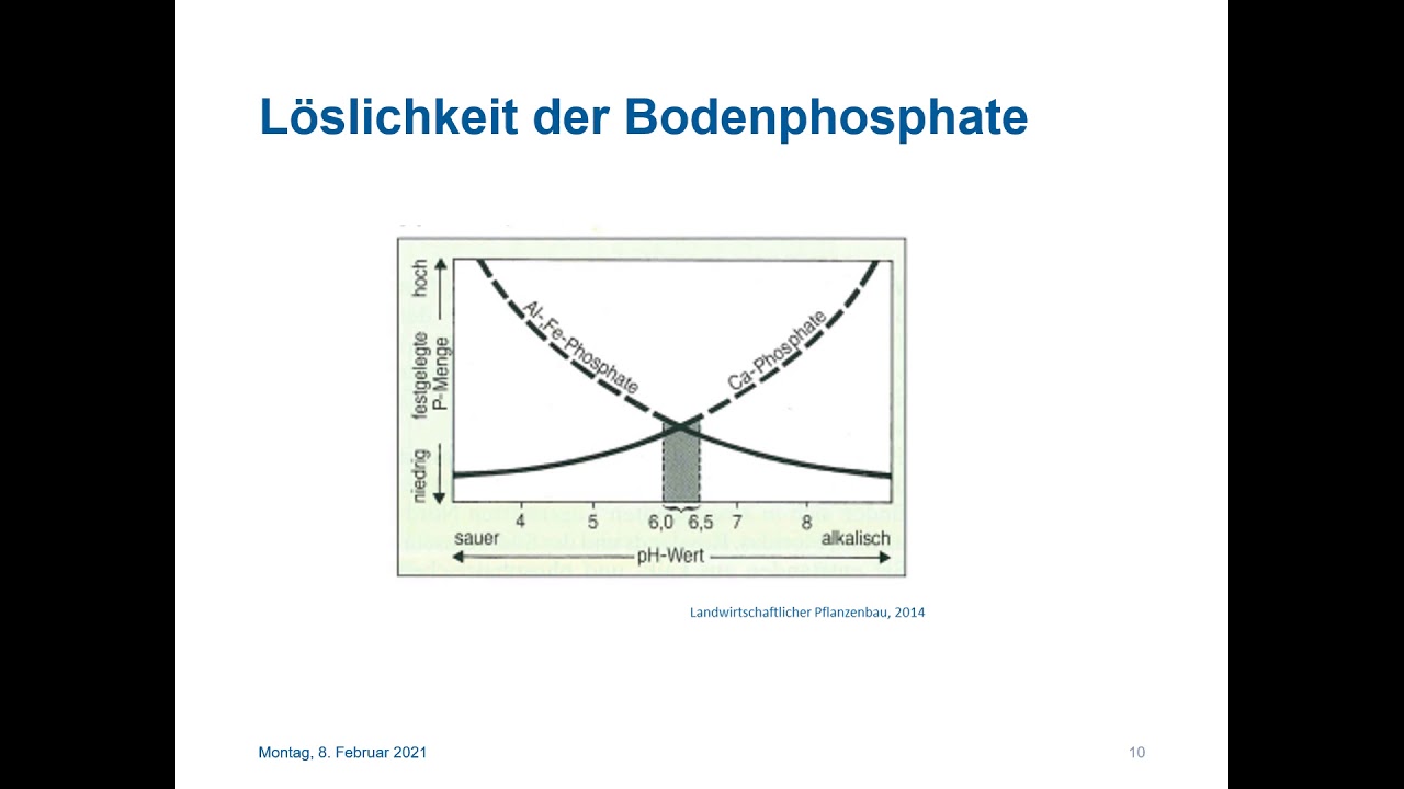 Düngelehre: Phosphor
