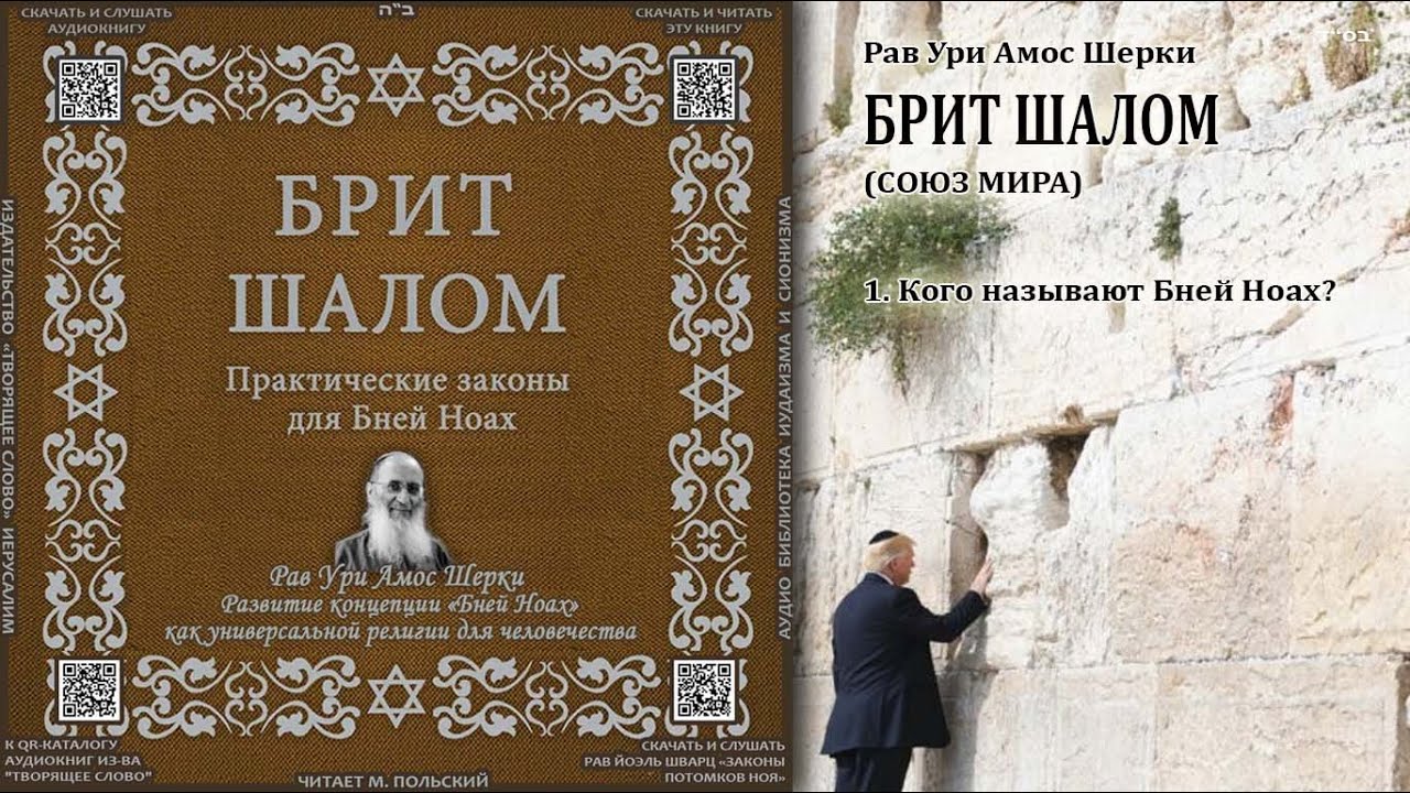 1. Кого называют Бней Ноах \ Рав Ури Шерки \ БРИТ ШАЛОМ \ Аудиокнига