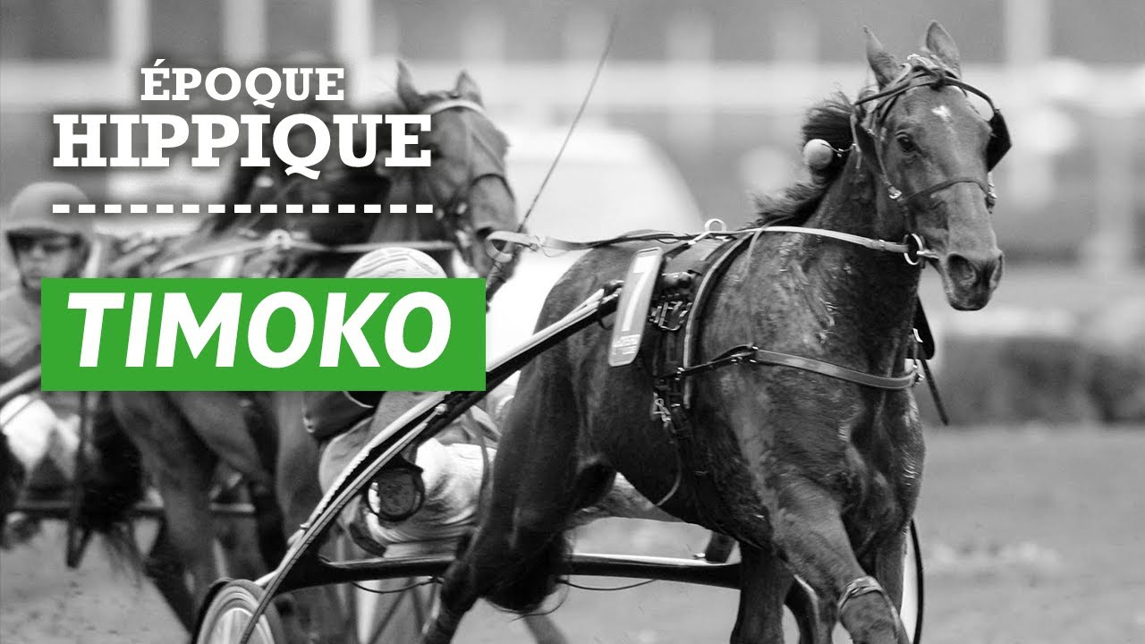L'histoire de Timoko : le plus riche Trotteur Français | Époque Hippique | PMU