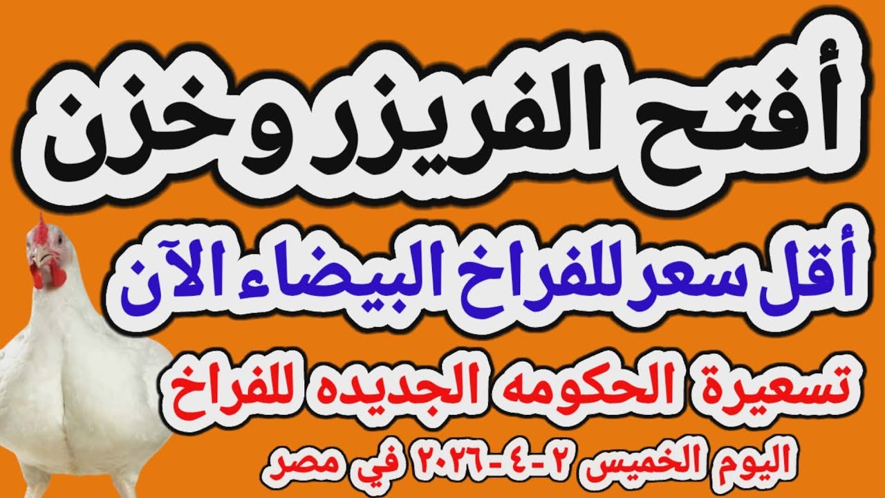 اسعار الفراخ البيضاء اليوم/ سعر الفراخ البيضاء اليوم الخميس 2026/4/2 في مصر