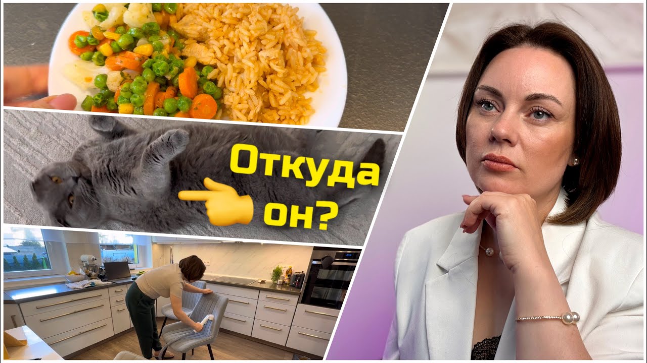 Откуда Барсик? Салат с сердечками/ Сломанная камера/ Уборка на кухне и просто наш день