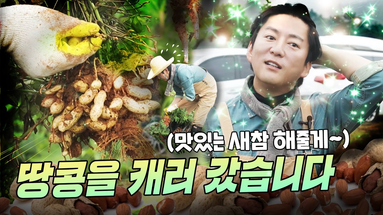 강레오 셰프의 땅콩밭에 직접 가보았습니다 (+생전 첨본 새참메뉴를 곁들인..)