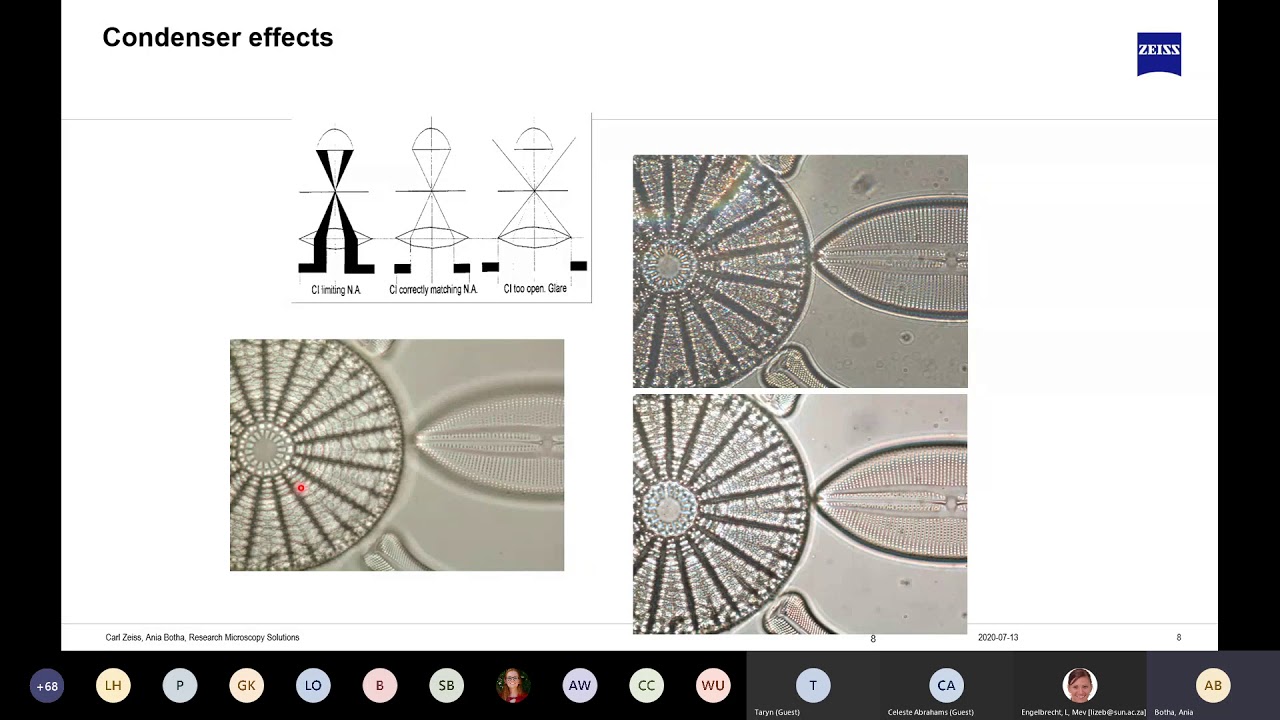 ZOYC microscopy Webinar series 1