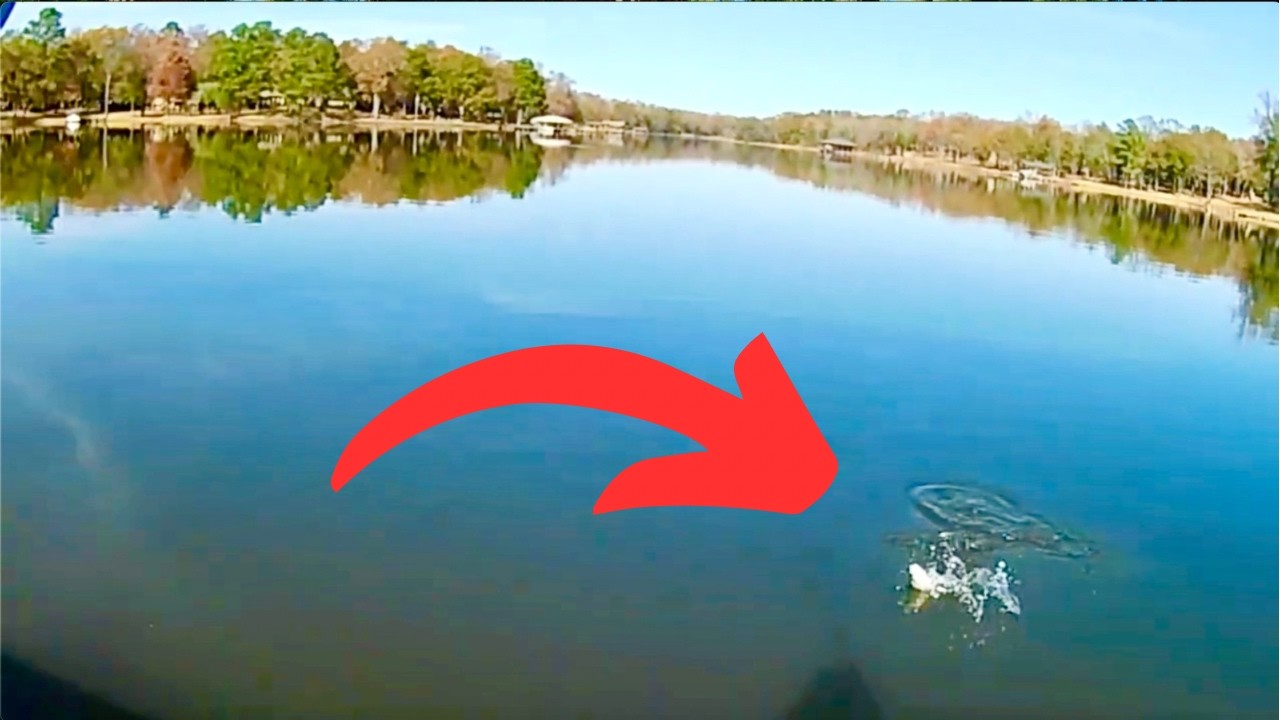 Find December Crappie here