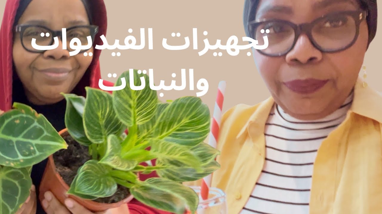 روتين رعايتي لنباتاتي وتجهيز النباتات وتجهيز طلباتكم