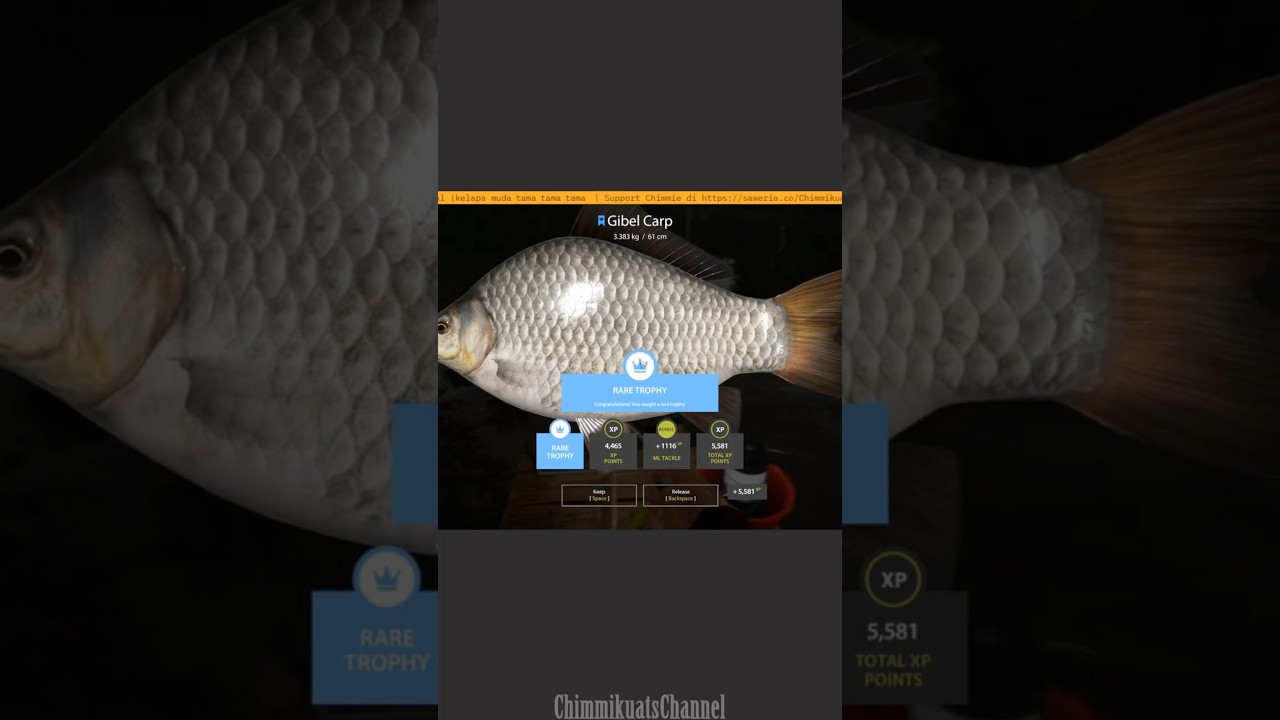 Another Gibel Rare Trophy! Blue Tag at Mosquito Lake 🏆🎊 #russianfishing4 #rf4 #shorts
