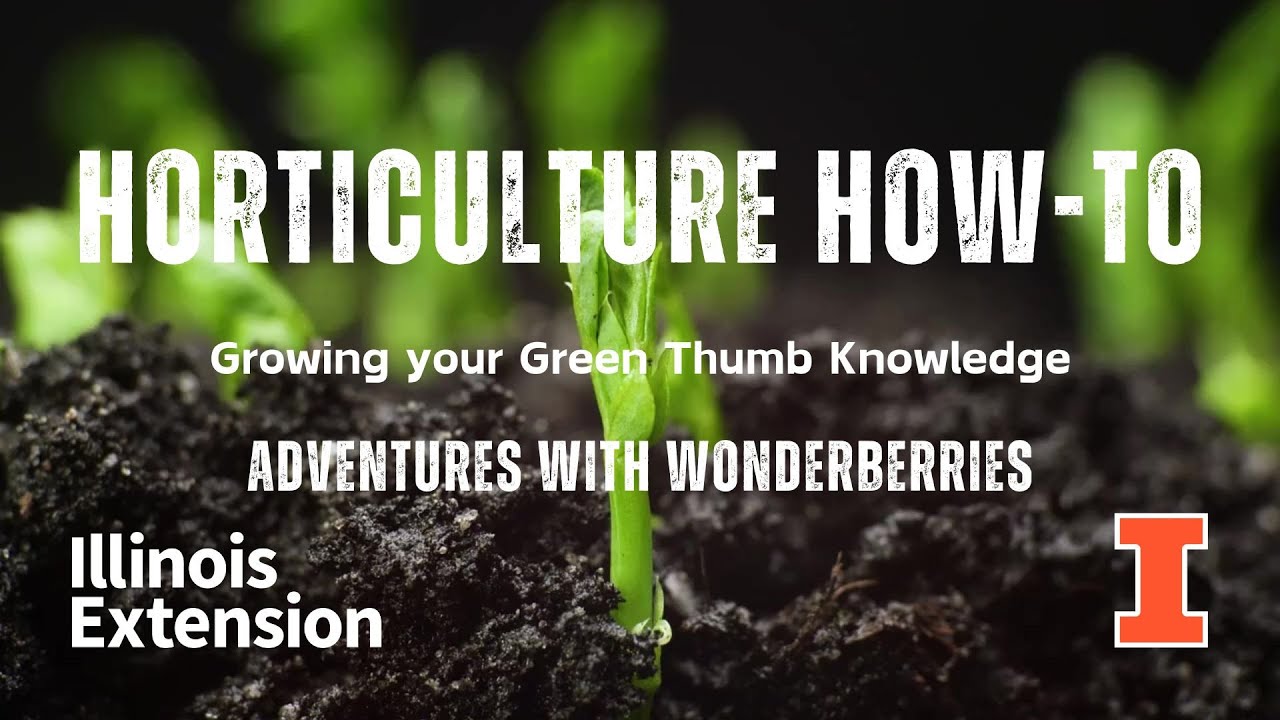 Horticulture How-To - Adventures With Wonderberries