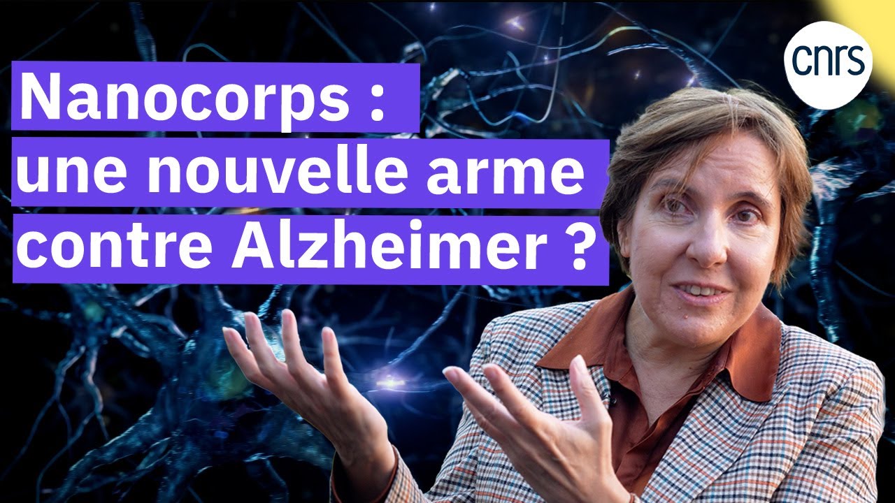 Nanocorps agir au c&oelig;ur des neurones Alzheimer | Reportage CNRS