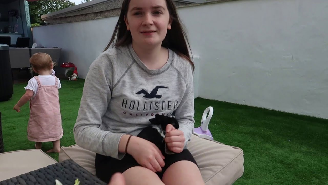 INTRODUCING KATIE AND AIMEE'S RABBITS