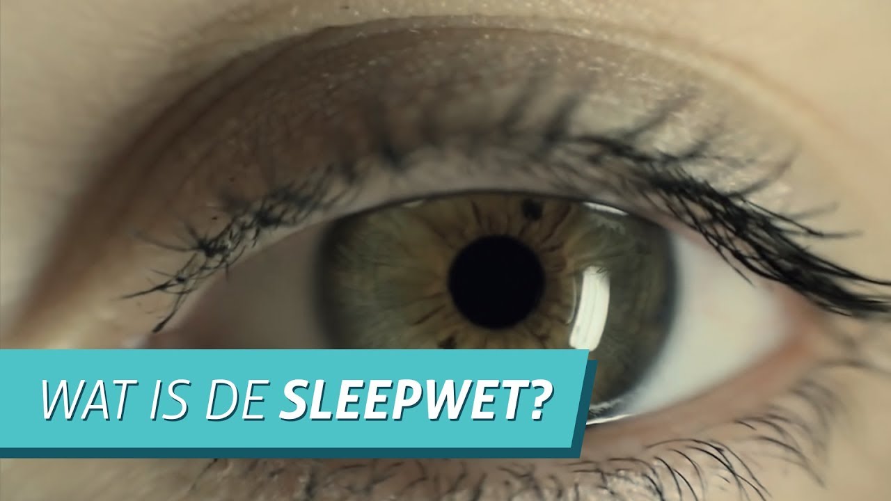 Wat is de Sleepwet?