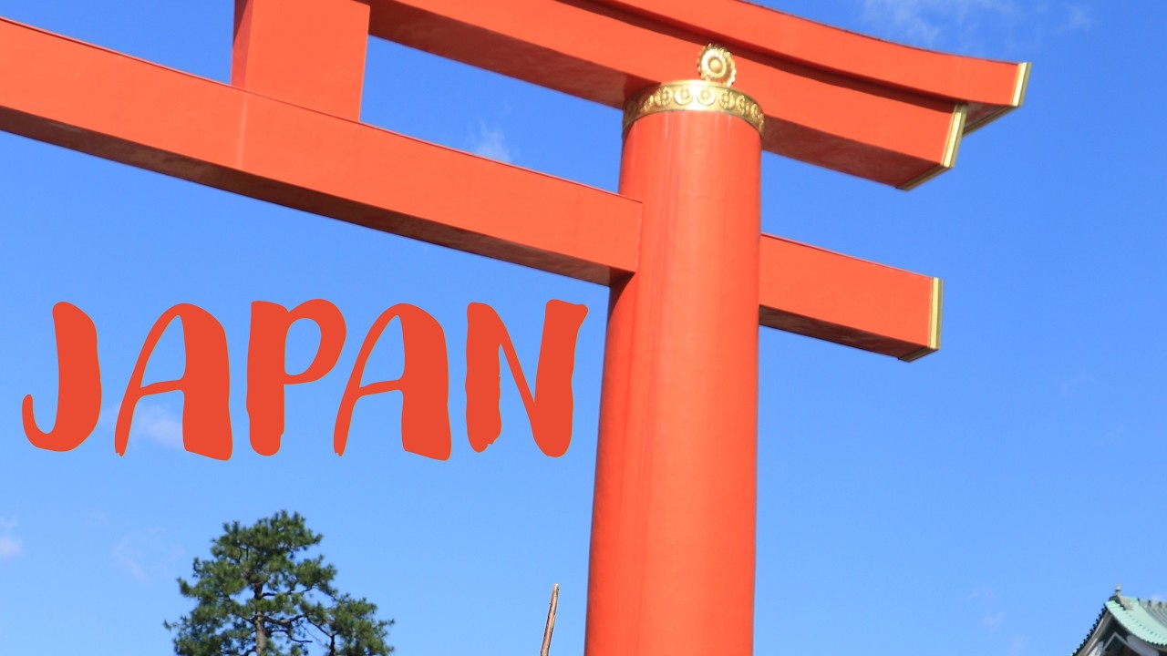 My Video