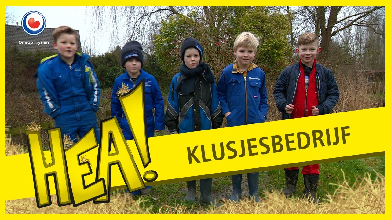 HEA! Vriendjes in Wommels doen klusjes voor het dorp