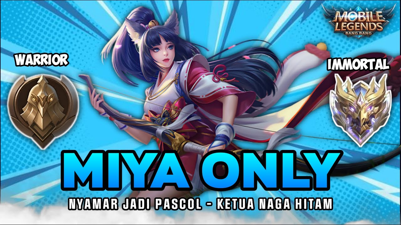 Namatin Mobile Legends Tapi Miya Only
