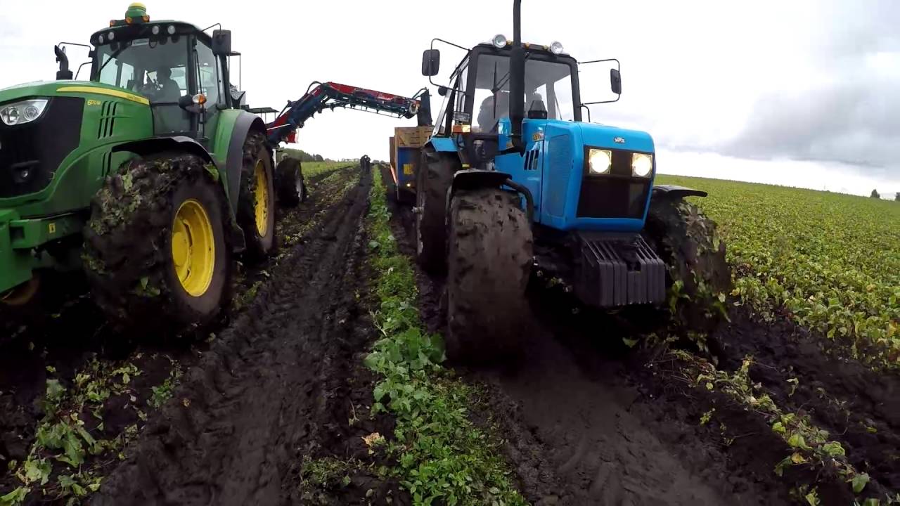 ASA-Lift T-200 DF столовая свекла / red beet harvesting