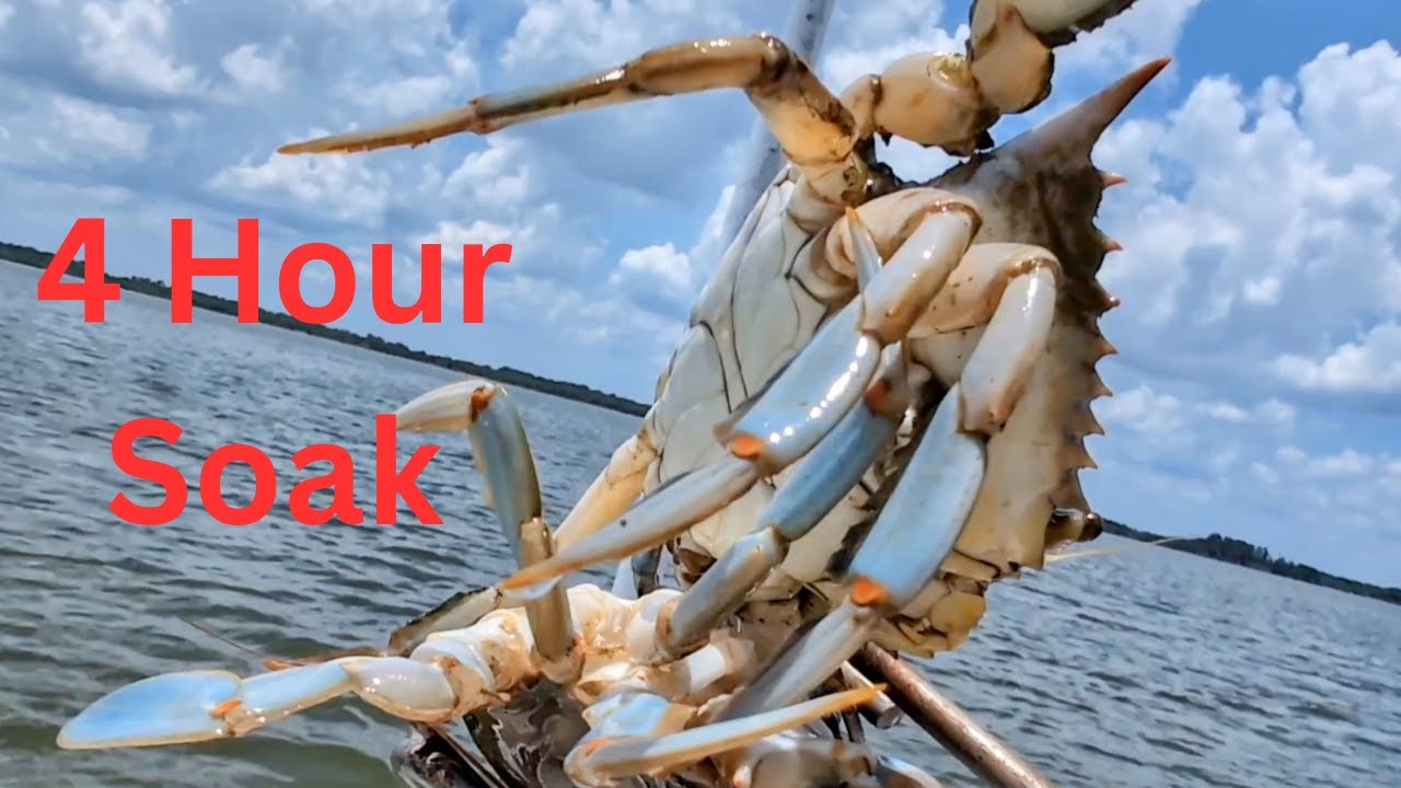 Crab Traps, 4 Hour Set, What Happened