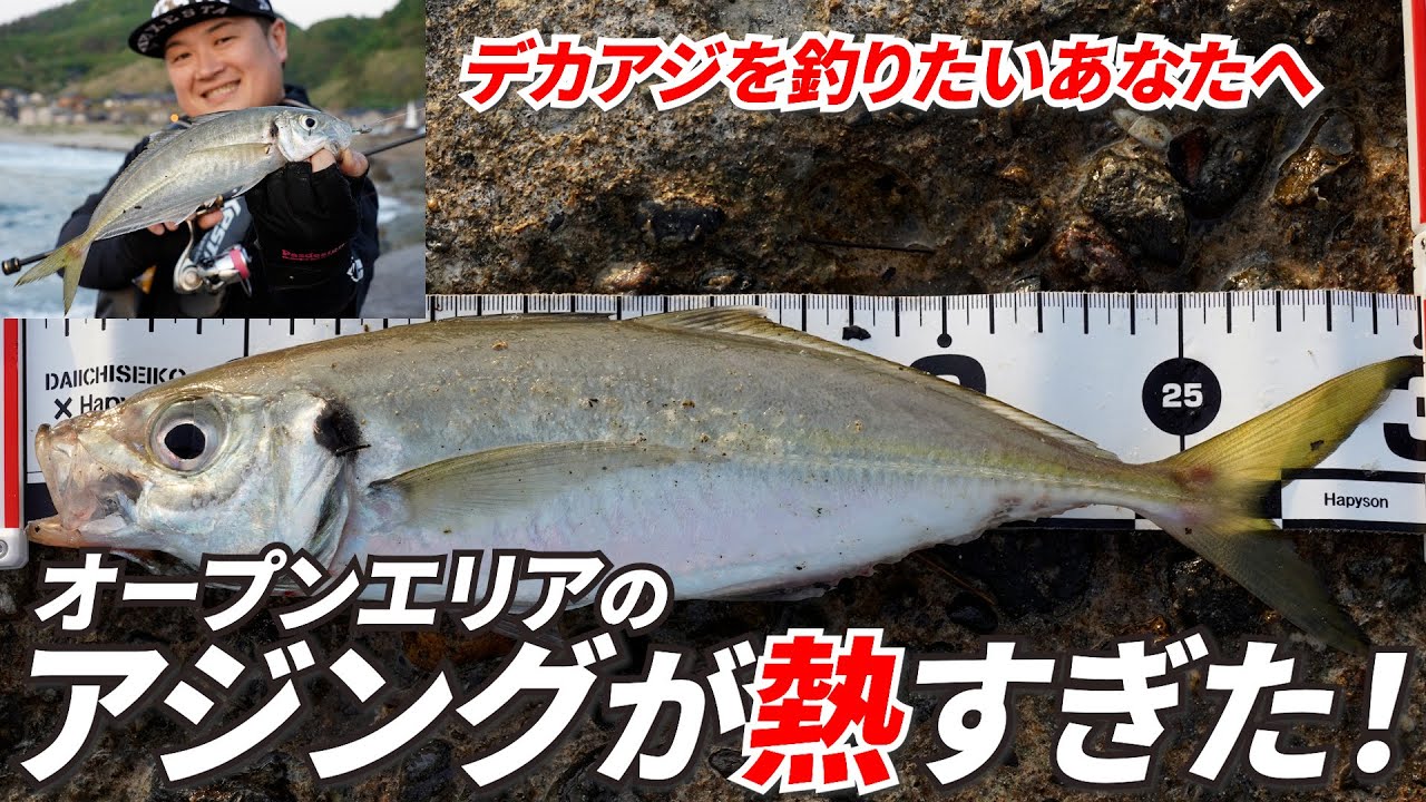 デカアジを釣りたいあなたへ～奥津剛《おくつ・たけし》
