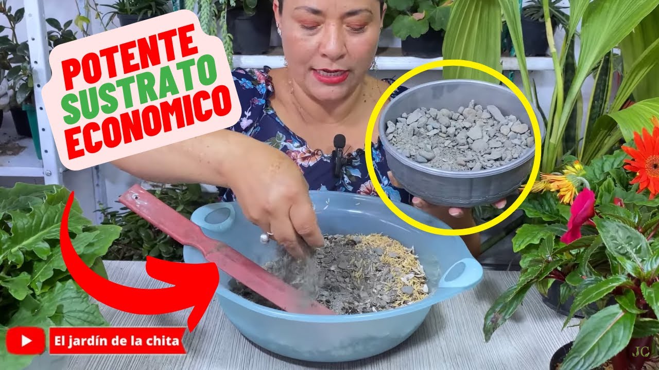 Mejor Sustrato Para Todo Tipo De Planta Sin Gastar Dinero #sustrato #fertilizante