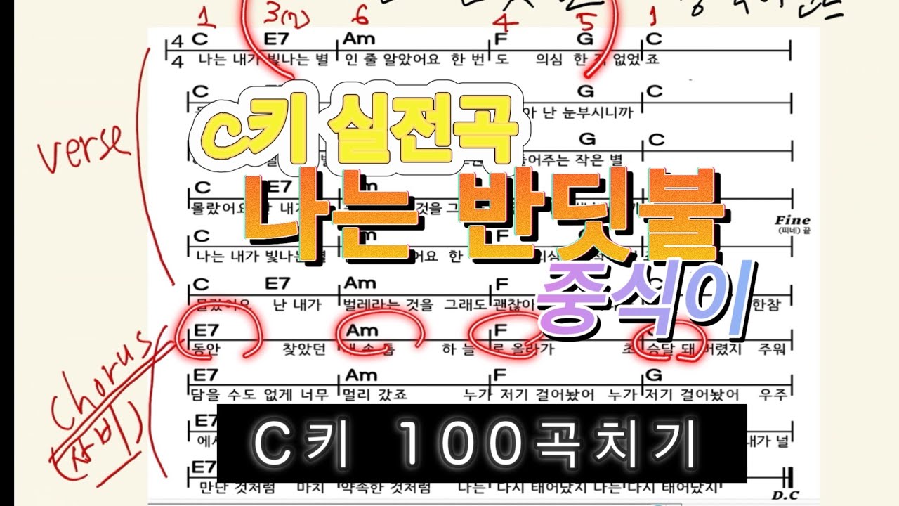 C키 100곡 치기 실전곡: 나는 반딧불(중식이)